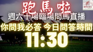 下晝跑馬啦！補充隔夜大戶飛數+賽日臨場一齊傾馬！（2021年12月18日 沙田日賽）