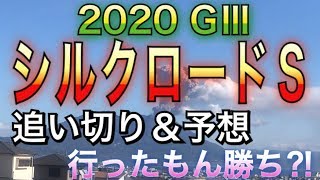 シルクロードステークス2020  追い切り　【競馬予想】