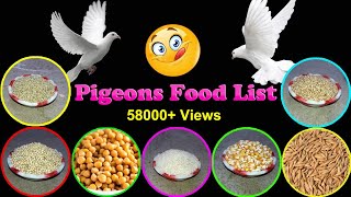 Pigeon Food List | What Do Pigeons Eat | Kabutar Food | Birds and Animals Planet