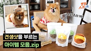 나만 맛있는 거 먹기 아쉬웠던 분 주목! 견생샷도 찍고 간식도 먹고🐶🦴ㅣ별첨스프:쓰 ep.4