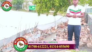 হাওড়ে আবদ্ধভাবে কি করে হাঁস পালন করবেন এবং হাঁসের খাবার কি দিবেন।আল-হুদা হাঁসের খামার।