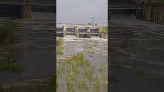 ಕಾರಂಜ ಜಲಾಶಯ 2022 #karanjadam #bidar #Shorts #karnatakaflood