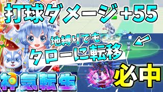 神気転生｢コヨミ｣打球ダメージ+55で必中化し、地縛りでもタローの元にいける性能持ち！【白猫テニス】