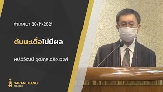 คำเทศนา: ต้นมะเดื่อไม่มีผล (ลูกา 13:6-9)