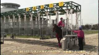 ＨＢＡトレーニングセール２０１０（Ｎｏ．１７７、ゲート）