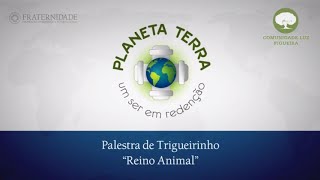 Trigueirinho - Planeta Terra, um ser em redenção #4, \