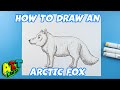 How to Draw an Arctic Fox