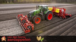 Fendt 936 Gen7 & Grimme GL860 Compacta planting potatoes