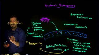 Bacterial Pathogenesis (review)