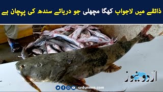 khagga fish in Sukkur, Sindh