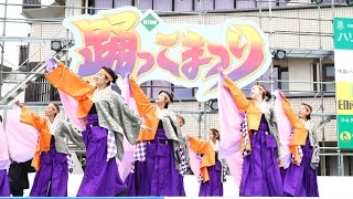 [4K]なかよし組　踊っこまつり2017 2日目 本部会場（中央）