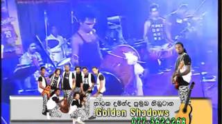 Percussion Solo - Golden Shadows Live Music