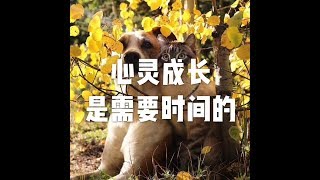 201710 心灵成长是需要时间的23517