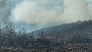 Krujë/ Pylli i Krastës sërish në flakë, dyshime për zjarrvënie të qëllimshme