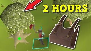 Solo Forestry Guide New Forestry Guide Fastest Method In Game Osrs