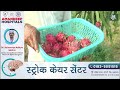 dragon fruit ਦੀ ਖੇਤੀ ਕਰ corporate ਘਰਾਣਿਆਂ ਨਾਲੋਂ ਵੱਧ ਪੈਸੇ ਕਮਾਉਂਦਾ ਹੈ ਮਾਝੇ ਦਾ ਇਹ ਨੌਜਵਾਨ