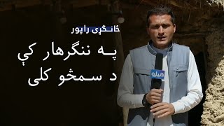 په ننګرهار کې د سمڅو کلی ~ ځانګړی راپور - Cave Village in Nangarhar - Special Report