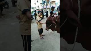 2021 Qurbani | Affan With Cow | Karachi Qurbani 2021 Video | FQVideos #FQ #Short