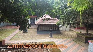 Chandanakkavu Temple /ചന്ദനക്കാവ്  ക്ഷേത്രം