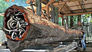 wood processing factory!!! splitting a large, mysterious redwood