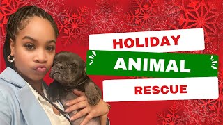 I RESCUED A DOG 🐕😳🎁