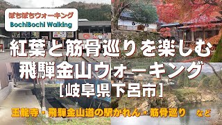 #45 (飛騨金山駅発着)紅葉と筋骨巡りを楽しむ飛騨金山ウォーキング【JR東海さわやかウォーキング　2021秋：11/23実施コース】(21/11/23：岐阜県下呂市・一般向・約9.8km)