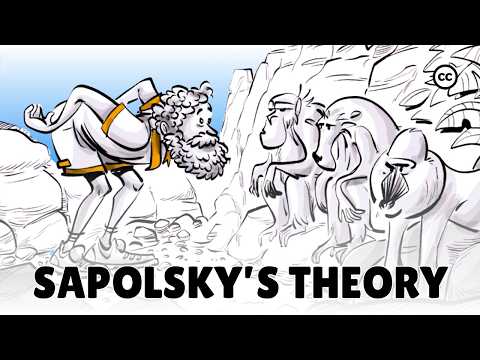 Does evolution explain human behavior?