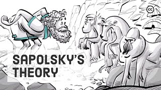 Sapolsky’s Theory of Evolutionary Psychology
