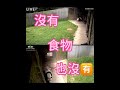 默默守護陪伴美香、添添、小奇跡