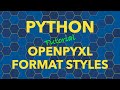 Python openpyxl Font & Cell Format Styles