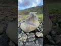 visiting the giant’s causeway is an unforgettable experience.