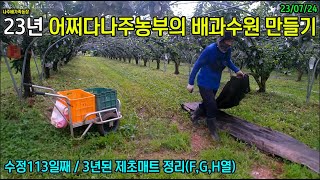 23년배과수원만들기 117 - 3년된 제초매트 정리(F,G,H열) #제초매트 #신고배 #어쩌다나주농부 #나주배가족농장