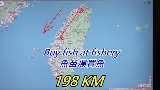 魚場買魚 Buy fish at fishery🤗