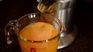 Making Orange Juice with Breville the Citrus Press Pro Juicer 800CPBSS