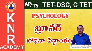 PSYCHOLOGY||TET, DSC, CTET||బ్రూనర్ బోధన సిద్ధాంతం ||FREE CLASSES