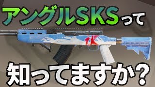 【PUBG MOBILE】SKSってバーティカルか軽量が強いと思ってない？アングルの可能性を探って紹介！【PUBGモバイル】【ぽんすけ】