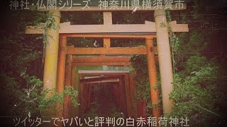 神社・仏閣シリーズ　神奈川県横須賀市　ツイッターでヤバイと評判の白赤稲荷神社