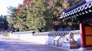 Tsurumi Ryokuchi Park of late autumn  晩秋の鶴見緑地