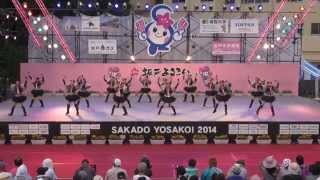 バービーズ　in　坂戸よさこい　2014