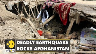 WION Fineprint | Afghan Earthquake: Taliban govt struggles with relief ops; India & Pak promise aid