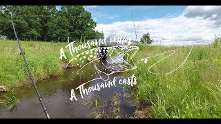 Upėtakių žvejyba - Small stream trout fishing Ep. 7