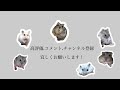 40 新しい家族…🐹💝