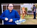 Bulbulay Family Par Bhi Cricket Junoon Sawar 😲😲 Khoobsurat | Bulbulay