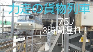 力走の貨物列車 75ﾚ3時間遅れ！東京タ―隅田川タ間