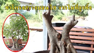 Bonsai Station [Workshop Station] EP.90 ทำโครงสร้างบอนไซ จากไม้ที่ถูกทิ้ง ?