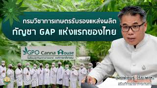 องค์การเภสัชกรรมนำร่องแหล่งผลิตกัญชา GAP แห่งแรกของไทย