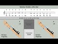 How to play Twinkle Twinkle Little Star (C Major) on the Recorder Very Easy Tutorial