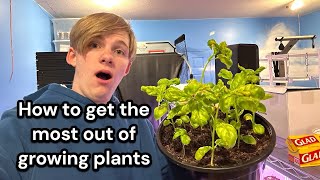 How to get the most out of growing plants