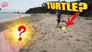 We Found TREASURE Metal Detecting These POPULAR SoCal Beaches!!