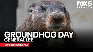 WATCH LIVE: Groundhog Day 2025 | Did General Beauregard Lee see his shadow?